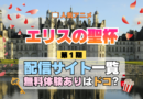 アニメ エリスの聖杯 配信