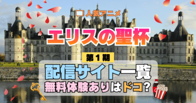 アニメ エリスの聖杯 配信