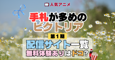 アニメ 手札が多めのビクトリア 配信