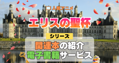 アニメ エリスの聖杯 原作