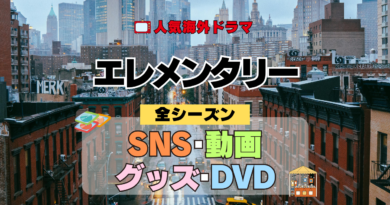 海外ドラマ エレメンタリー ミステリードラマ クライムサスペンス 全シーズン SNS YouTube動画 グッズ DVD BD