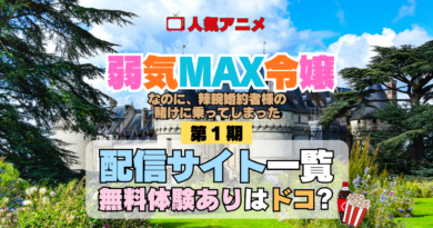 アニメ 弱気MAX令嬢なのに、辣腕婚約者様の賭けに乗ってしまった 配信