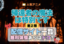 帰還者の魔法は特別です 第2期 シーズン2 配信