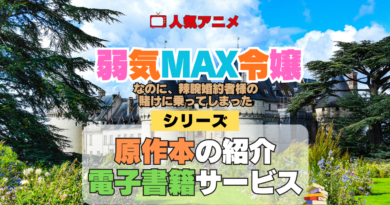 アニメ 弱気MAX令嬢なのに、辣腕婚約者様の賭けに乗ってしまった 原作 ラノベ なろう系 小説 本 漫画