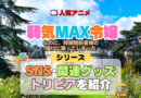 アニメ 弱気MAX令嬢なのに、辣腕婚約者様の賭けに乗ってしまった シリーズ SNS 動画 YouTube 関連グッズ DVD Blu-ray ブルーレイ トリビア 豆知識