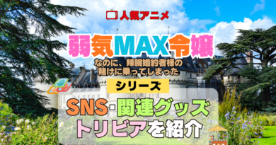 アニメ 弱気MAX令嬢なのに、辣腕婚約者様の賭けに乗ってしまった シリーズ SNS 動画 YouTube 関連グッズ DVD Blu-ray ブルーレイ トリビア 豆知識