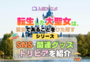 アニメ 転生した大聖女は、聖女であることをひた隠す SNS 動画 関連グッズ ブルーレイ トリビア 豆知識